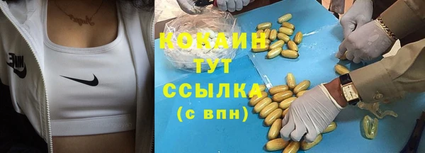 apvp Армянск