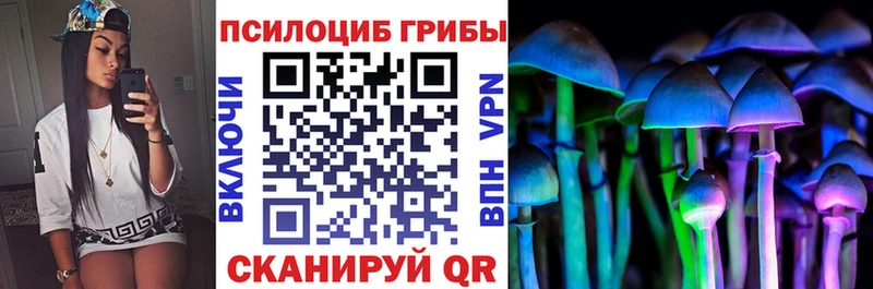 гидра маркетплейс Ливны Псилоцибиновые грибы прущие грибы магазин